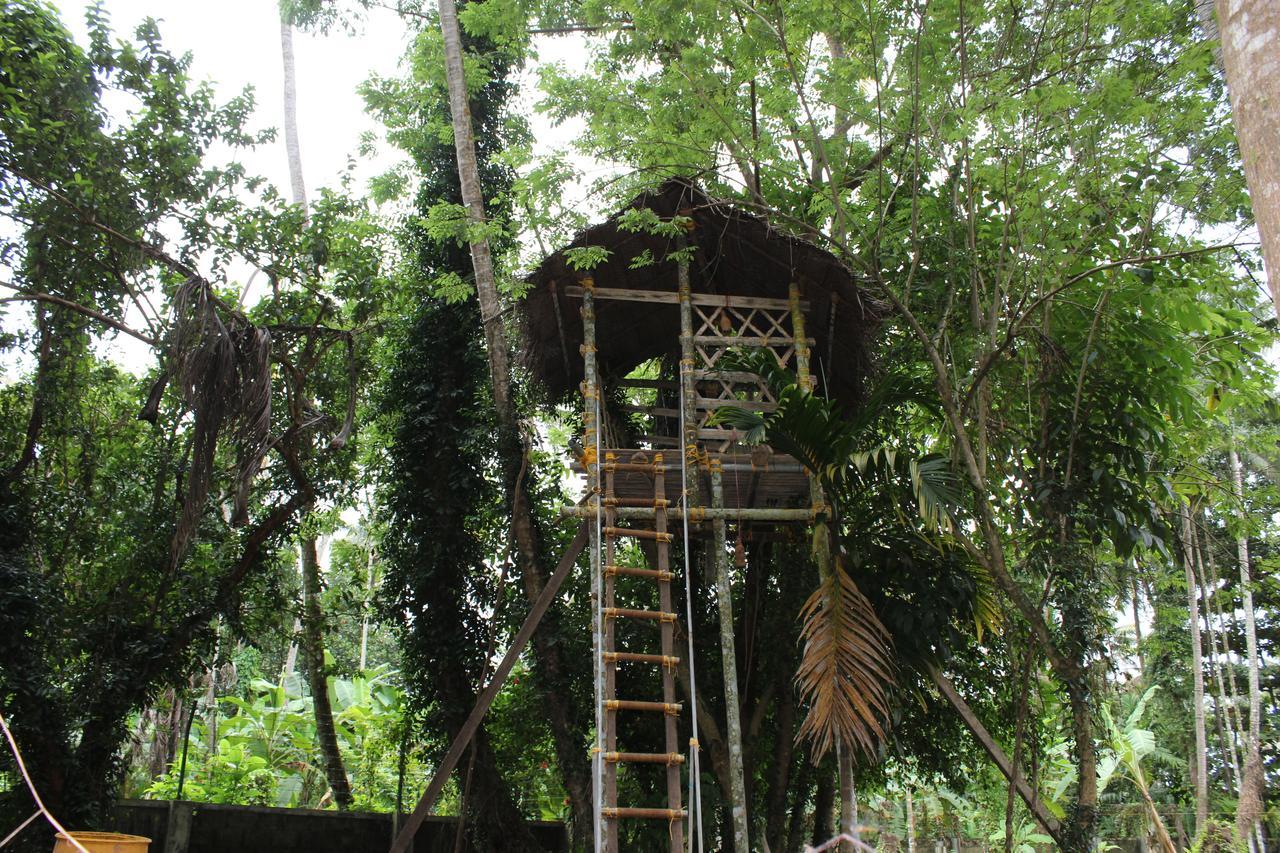 Neelambari Resorts Urakam Ngoại thất bức ảnh